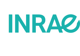 logo of company